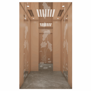 Branded Passenger elevator installation service