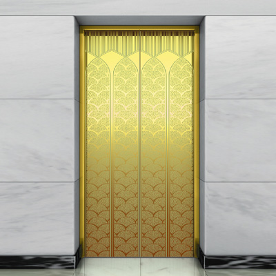 Titanium Gold Elevator Hall Door Ts M08