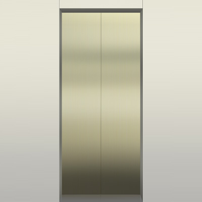 Titanium Gold Elevator Hall Door Ts M24