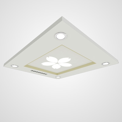 Titanium Gold Split Type Elevator Cabin Roof Ts D25